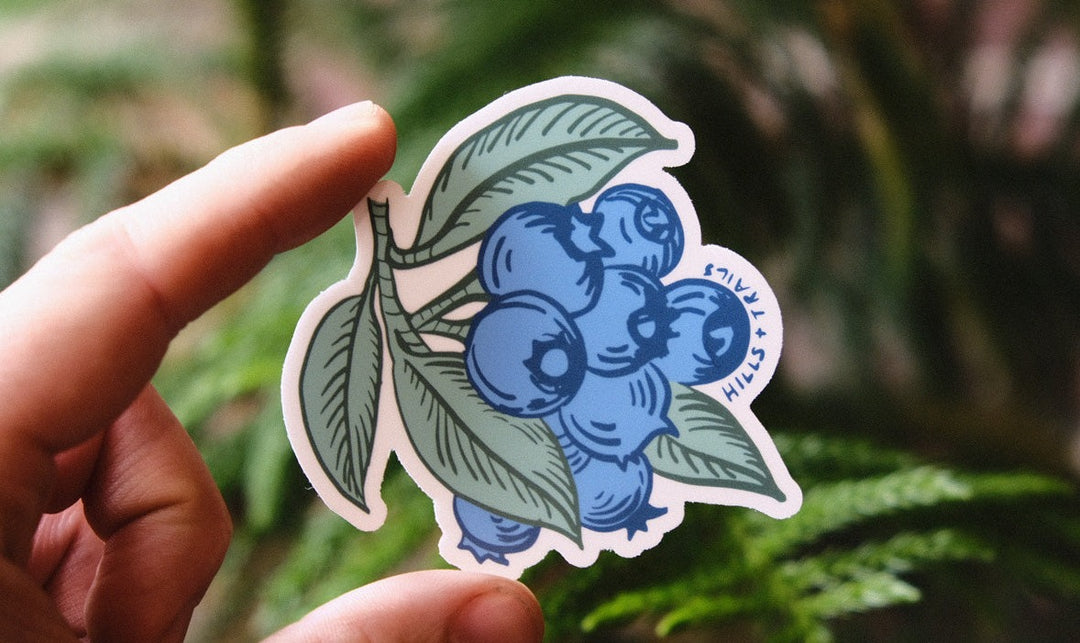 Blueberry Branch Sticker
