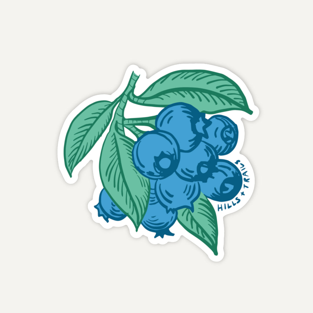 Blueberry Branch Sticker