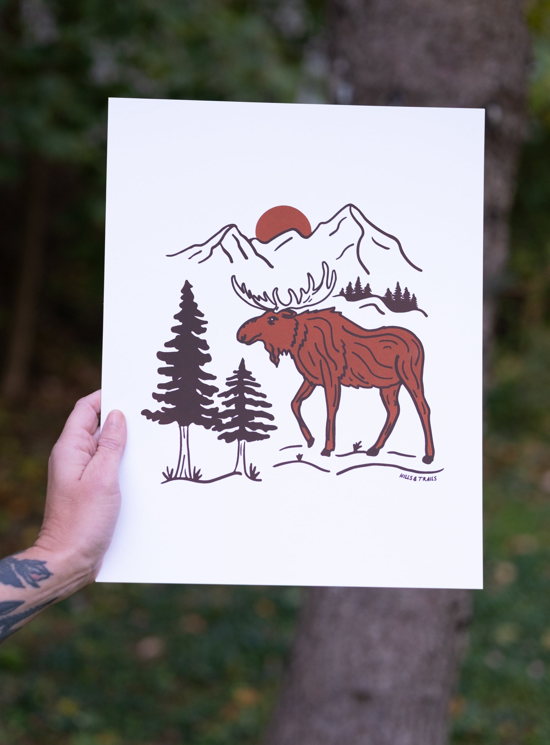Maine Moose Print