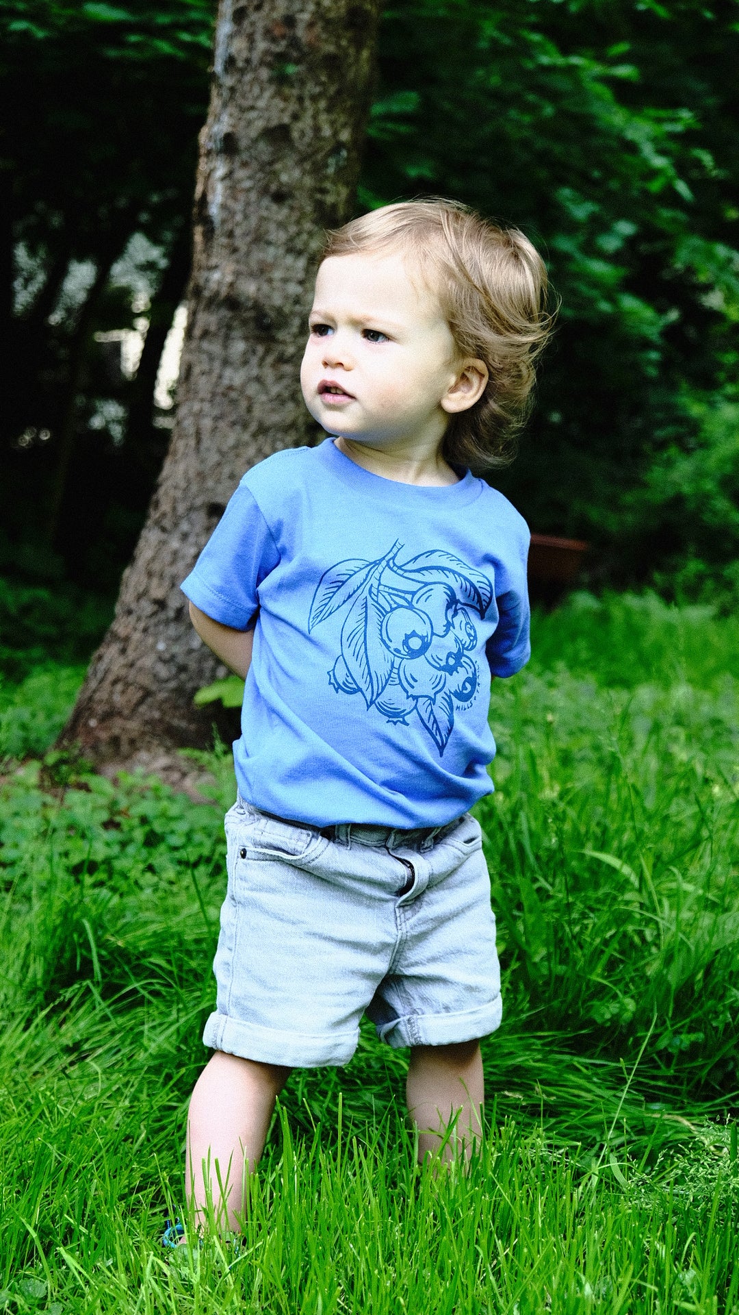 Blueberry Branch Tshirt - Toddler